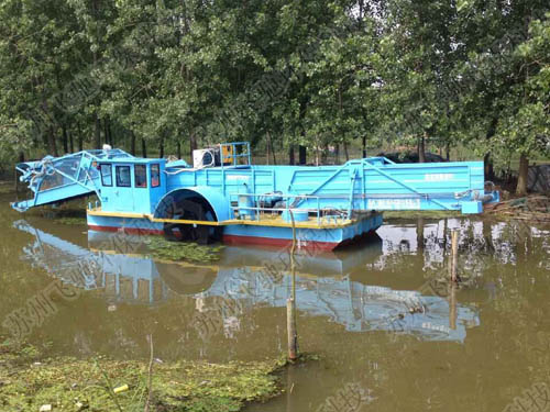 高宝湖 全自动水花生打捞船