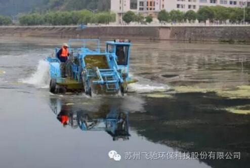 qinjiang1.jpg