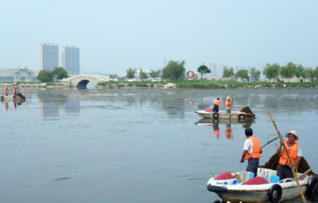 滨州市园林处应采购全自动保洁船打捞中海水域水草