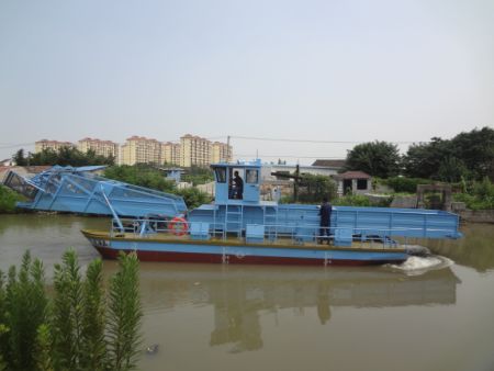 63.jpg
