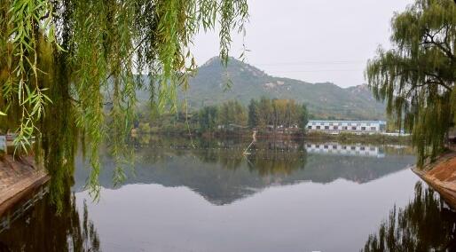 QQ截图20161022211238.jpg